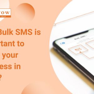 Why Bulk SMS is important to boost your business in 2022?